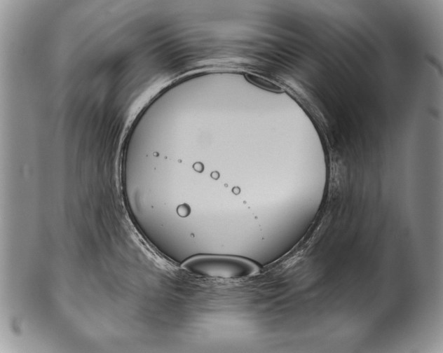 X0000100411196200806201752