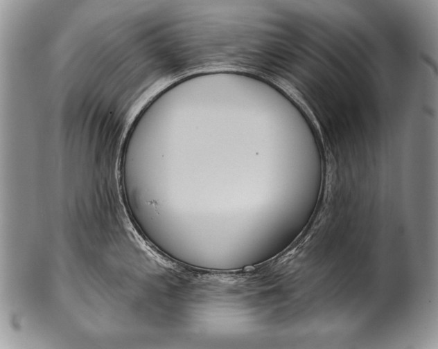 X0000100411197200806201752