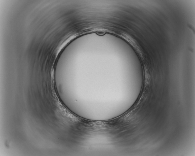 X0000100411198200806201752