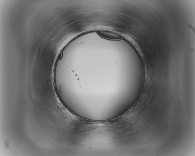 X0000100411199200806201752