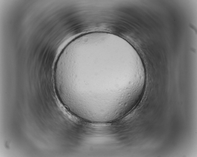 X0000100411200200806201752