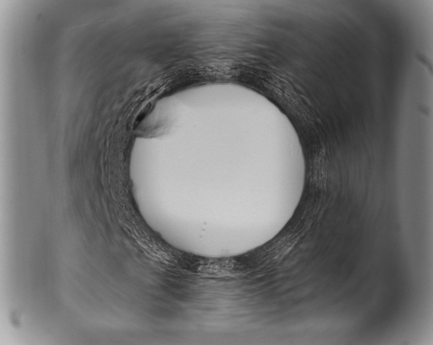 X0000100411201200806201751