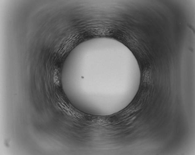 X0000100411202200806201751