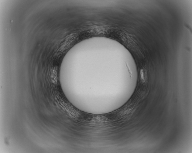 X0000100411203200806201751