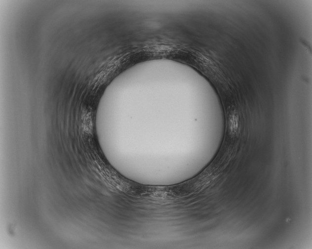 X0000100411204200806201751