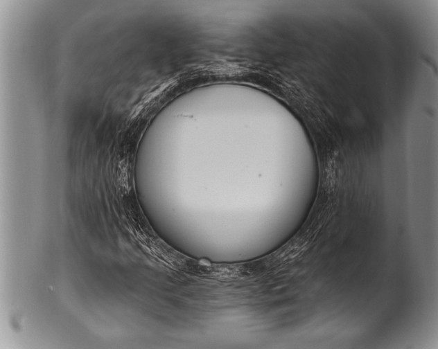 X0000100411205200806201751