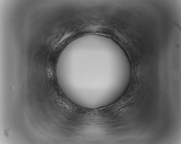 X0000100411206200806201751