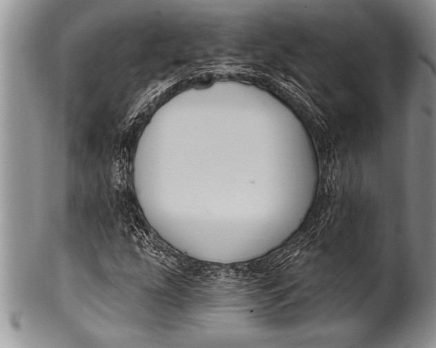 X0000100411207200806201751