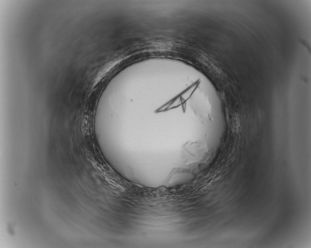 X0000100411208200806201751