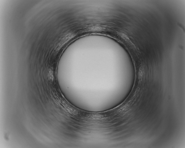 X0000100411209200806201751