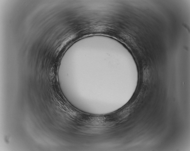 X0000100411210200806201751