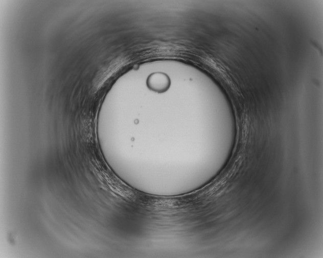 X0000100411211200806201751