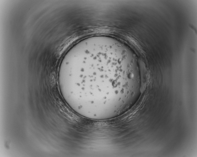 X0000100411212200806201751