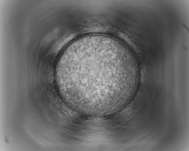 X0000100411213200806201751