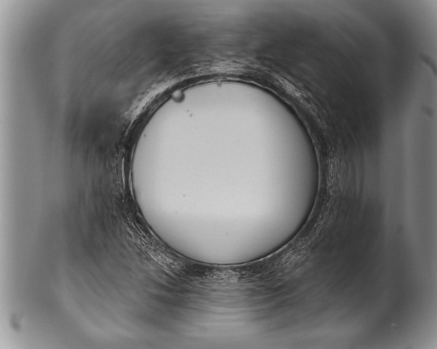 X0000100411214200806201751