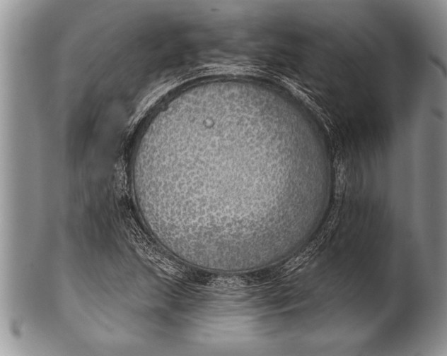 X0000100411215200806201751