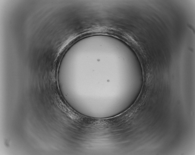 X0000100411216200806201751