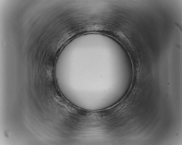 X0000100411217200806201751