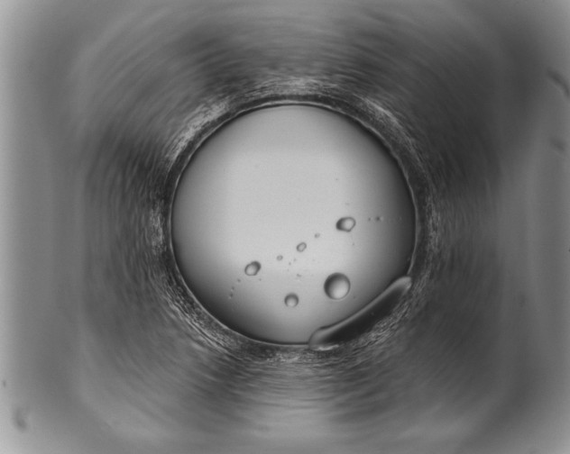 X0000100411218200806201751