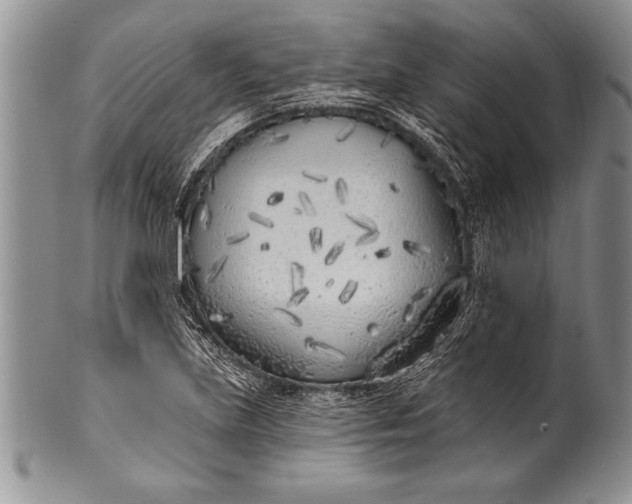 X0000100411219200806201751