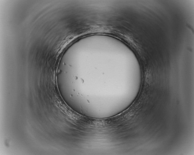 X0000100411220200806201751