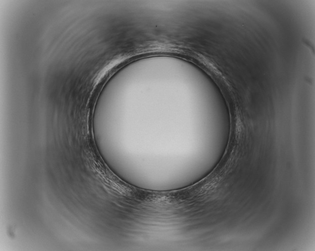 X0000100411222200806201751