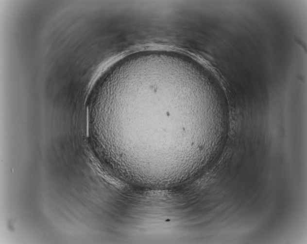 X0000100411223200806201751