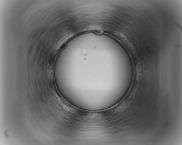 X0000100411225200806201751