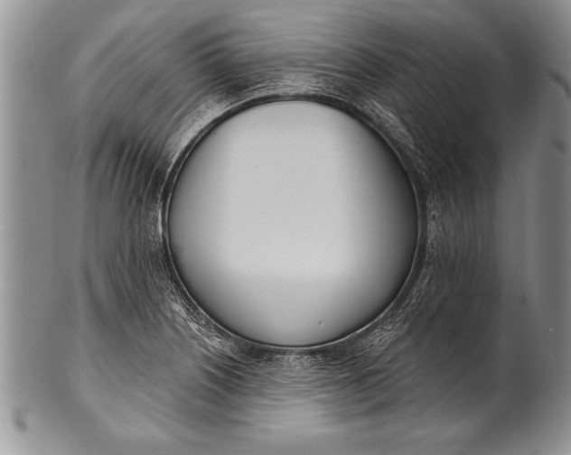 X0000100411226200806201751