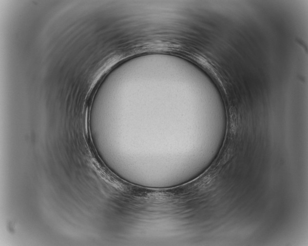 X0000100411227200806201751