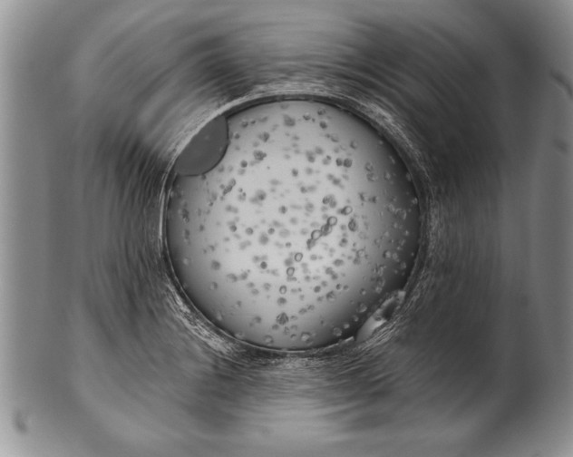 X0000100411228200806201751