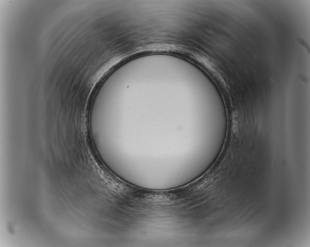 X0000100411229200806201751