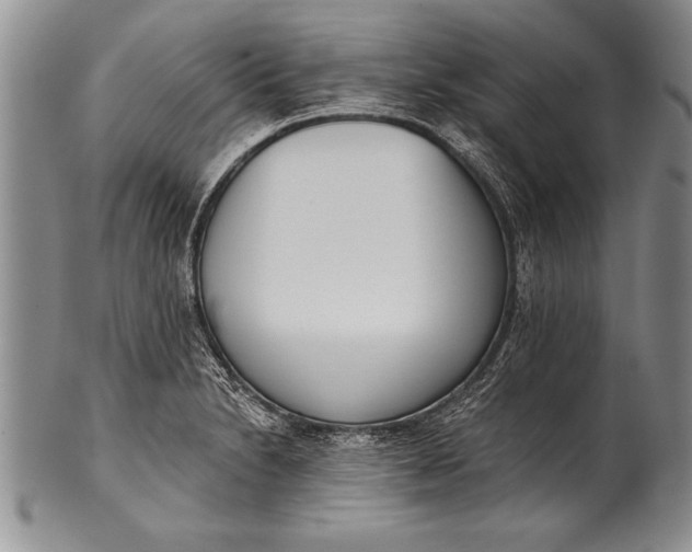 X0000100411230200806201751