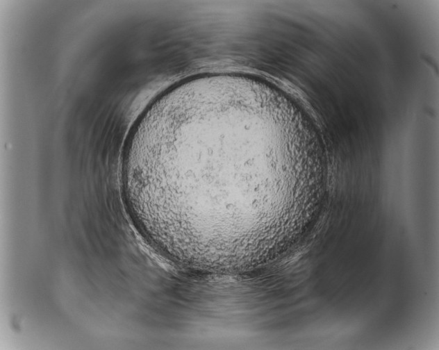 X0000100411231200806201751