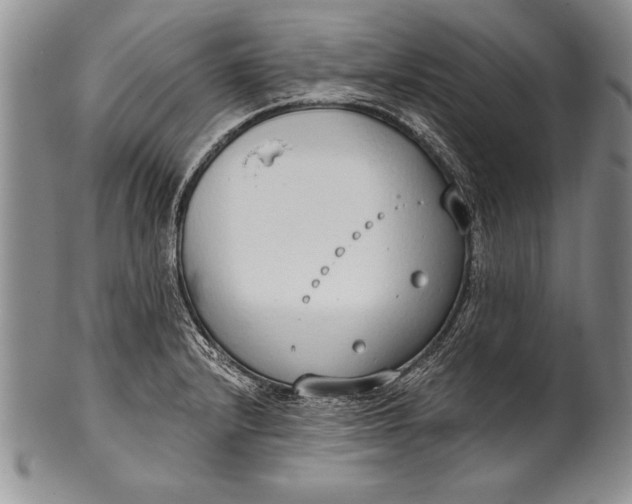 X0000100411232200806201751