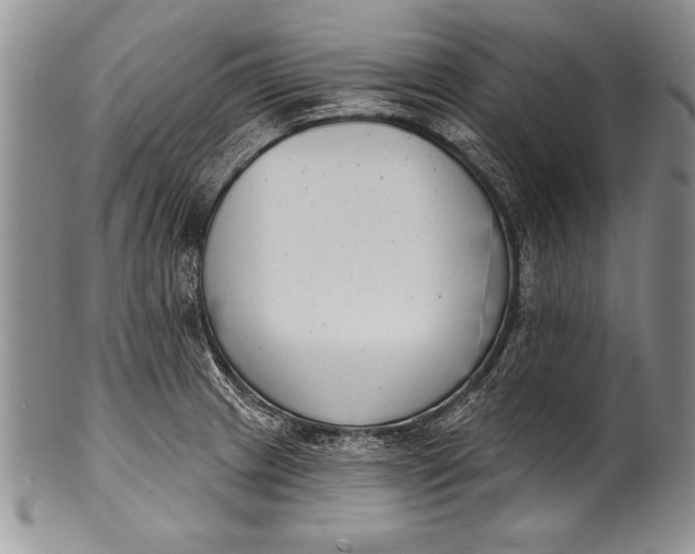 X0000100411233200806201751