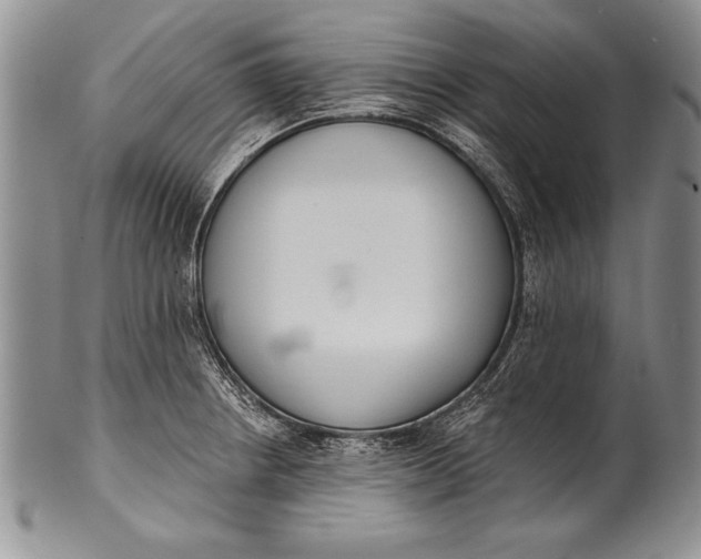 X0000100411234200806201751