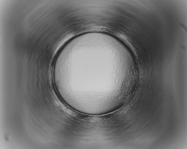 X0000100411235200806201752