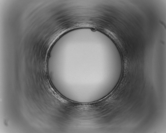 X0000100411236200806201752