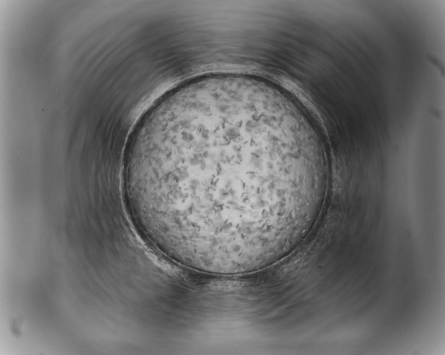 X0000100411237200806201752