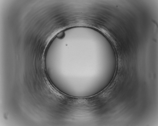 X0000100411238200806201752