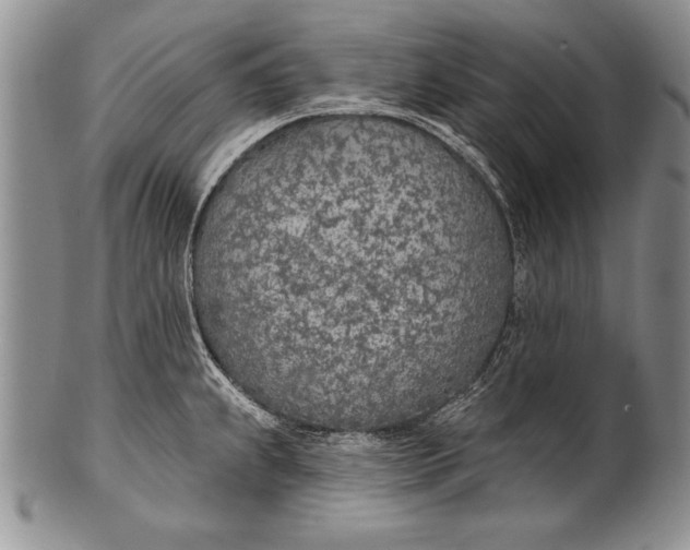 X0000100411239200806201752