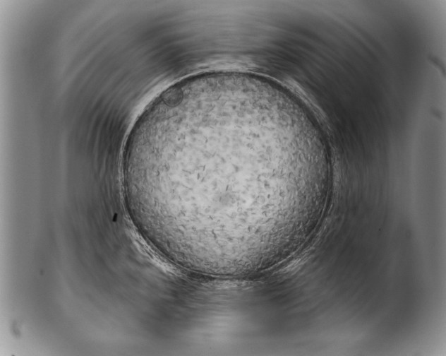 X0000100411240200806201752