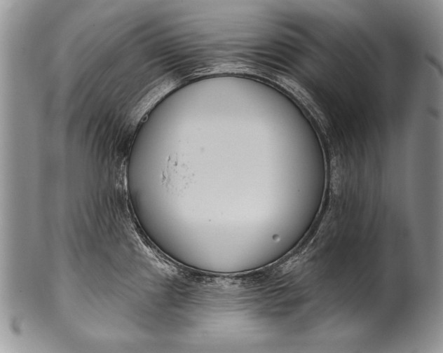 X0000100411241200806201752