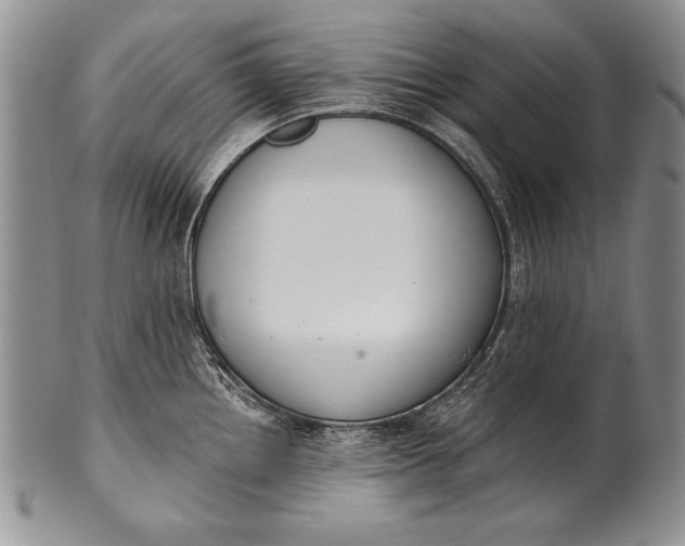 X0000100411242200806201752