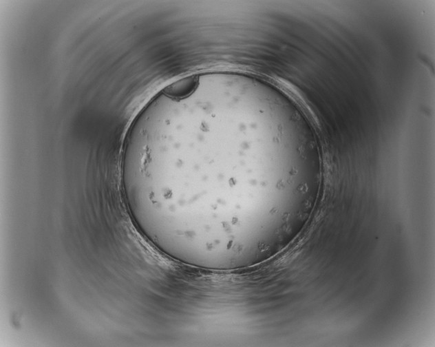 X0000100411244200806201752