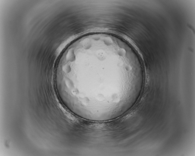 X0000100411245200806201752