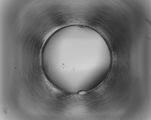 X0000100411246200806201752