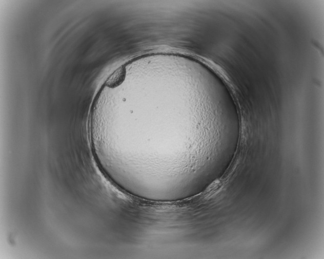 X0000100411247200806201752