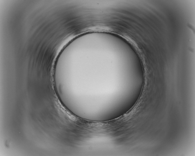 X0000100411248200806201752